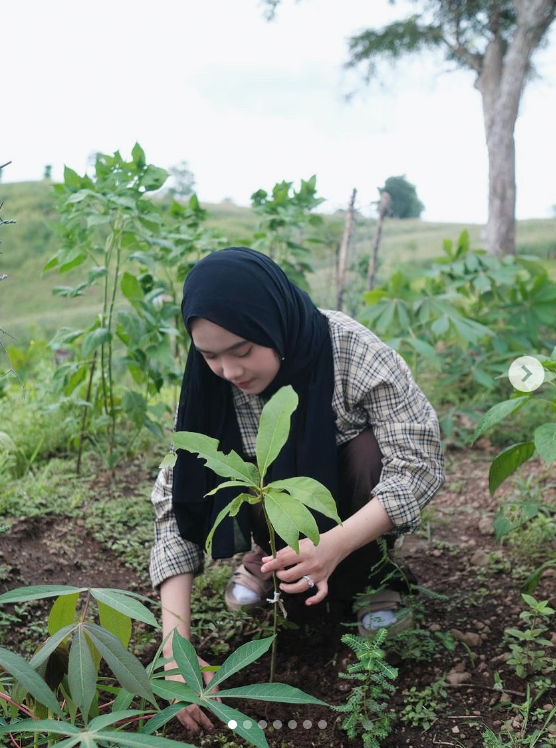 Salah satu hal yang belum bisa aku lupain sampe sekarang adalah, jadi bagian SSC Project yang ngasih banyak manfaat bagi para petani khususnya di Bima.