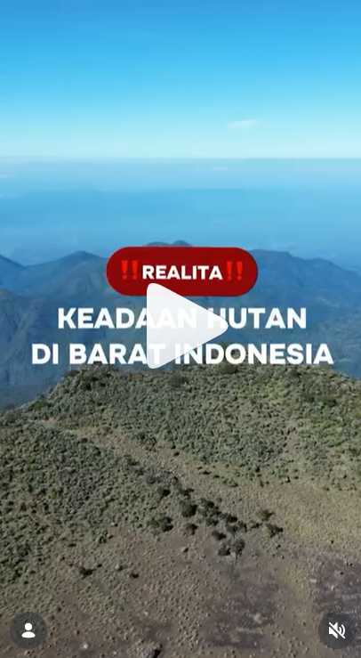 Sekarang udah gak khawatir lagi soal kelestarian lingkungan karna udah ada SSF Project