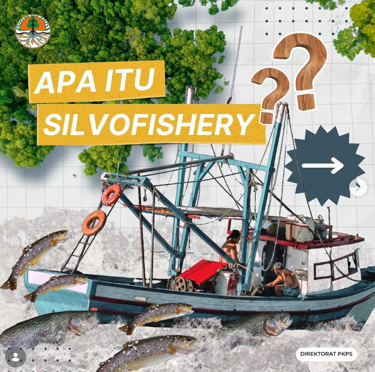 Apa itu SilvoFishery