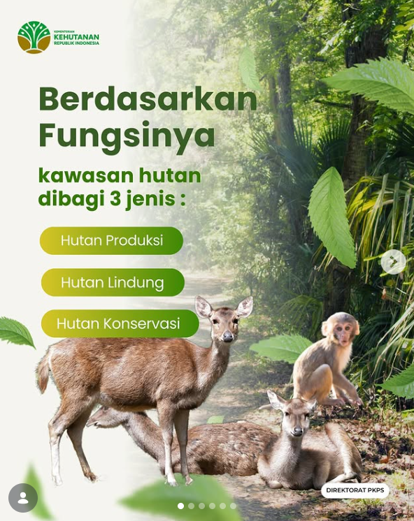 Berdasarkan Fungsinya kawasan hutan dibagi 3 jenis
