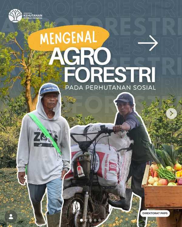 Mengenal Agroforestri pada Perhutanan Sosial