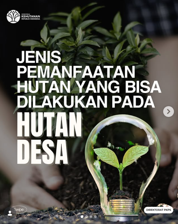 Jenis Pemanfaatan Hutan yang bisa dilakukan pada Hutan Desa