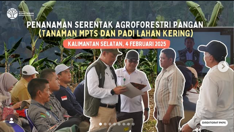 Penanaman Serentak Agroforestri Pangan