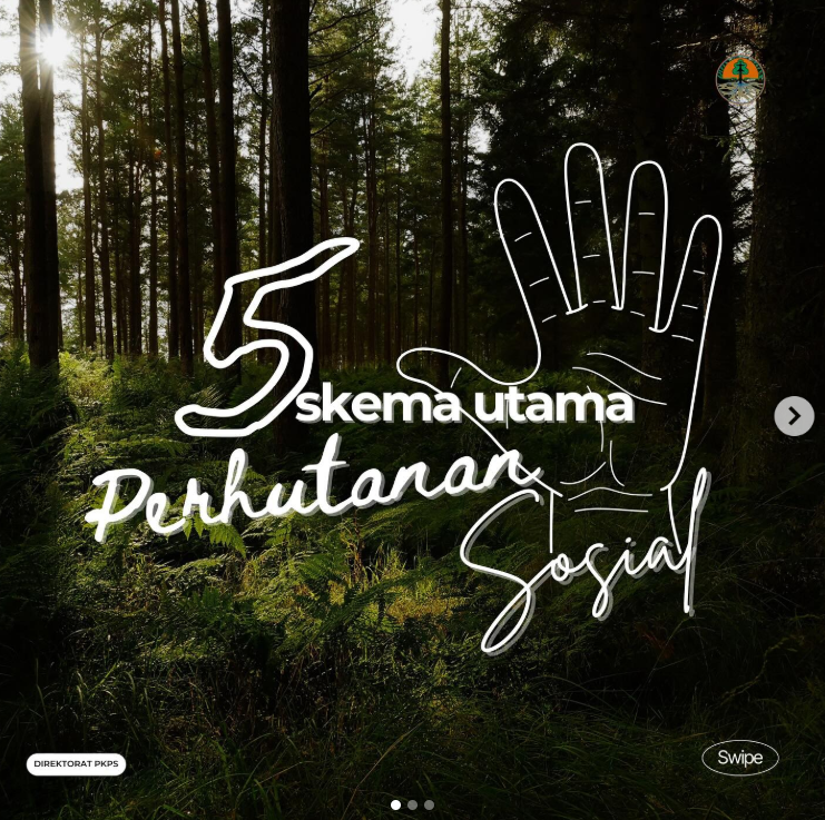 Mengenal 5 Skema Perhutanan Sosial di Indonesia 