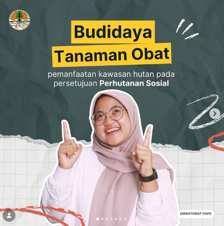 Budidaya Tanaman Obat