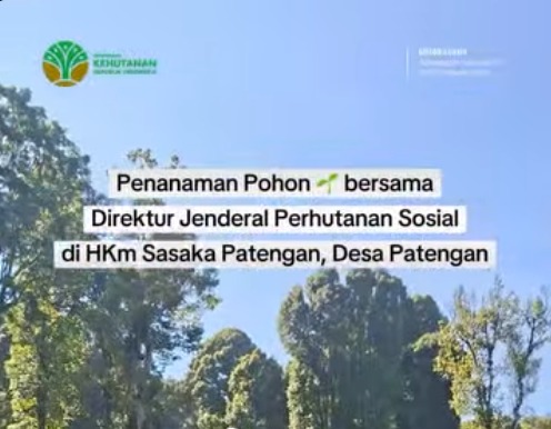 Penanaman Pohon bersama Direktur Jenderal Perhutanan Sosial di HKm Sasaka Patengan, Desa Patengan.