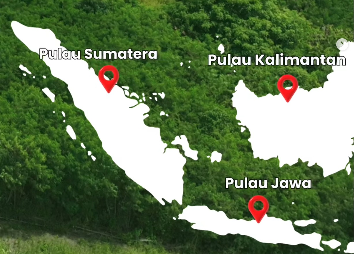 Udah siap belum ke lapangan?
