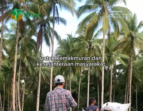 Di balik penatnya pekerjaan kantor, ada hutan alam Indonesia yang selalu setia menyangga kehidupan kita. 🌲